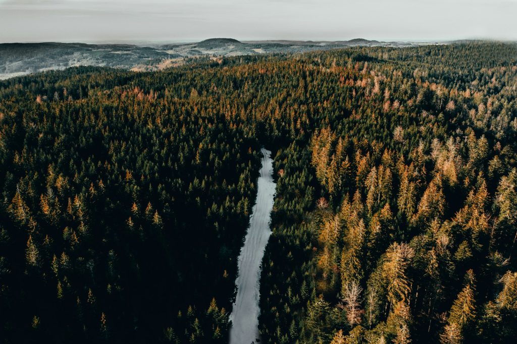 Les incontournables des Vosges : que faire, que voir, nos conseils aerial view photography of lake between trees