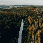 aerial view photography of lake between trees