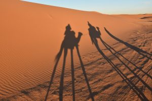 silhouette of 2 people riding camel on desert during daytime
