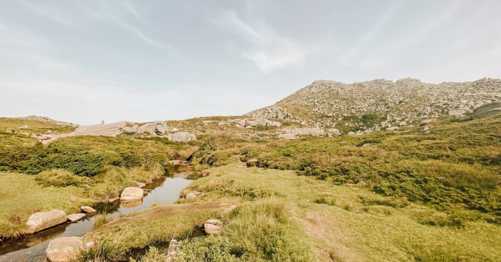 découvrez la beauté envoûtante de la corse, une île méditerranéenne riche en paysages variés, plages paradisiaques, et traditions culturelles. explorez les sentiers de randonnée, savourez la gastronomie locale et plongez dans l'histoire fascinante de cette destination unique.