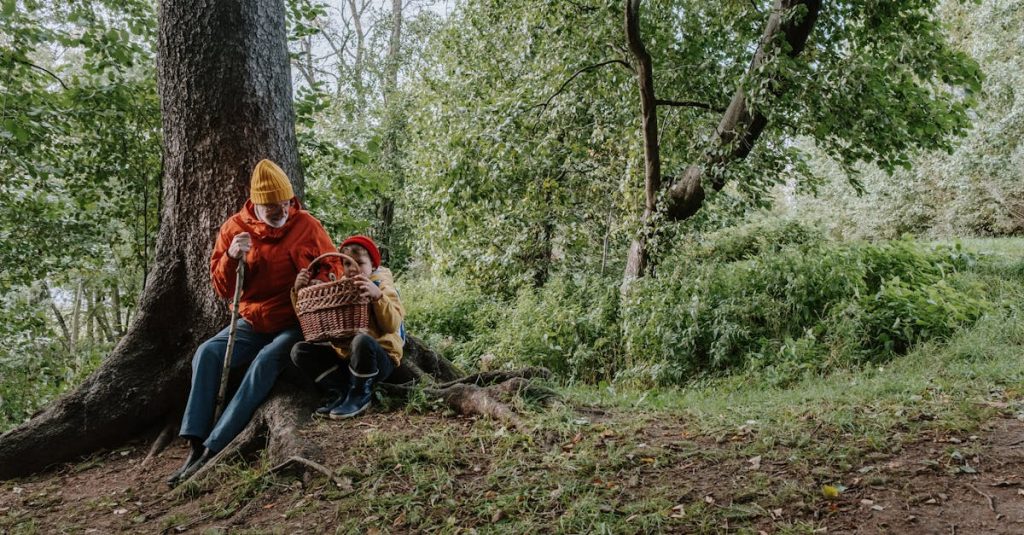 découvrez les merveilles de l'islande en famille grâce à une aventure inoubliable ! explorez des paysages époustouflants, des geysers, des cascades et des glaciers, tout en créant des souvenirs mémorables avec vos proches. partez à la rencontre de la nature sauvage et laissez-vous émerveiller par la magie de l'île aux paysages uniques.