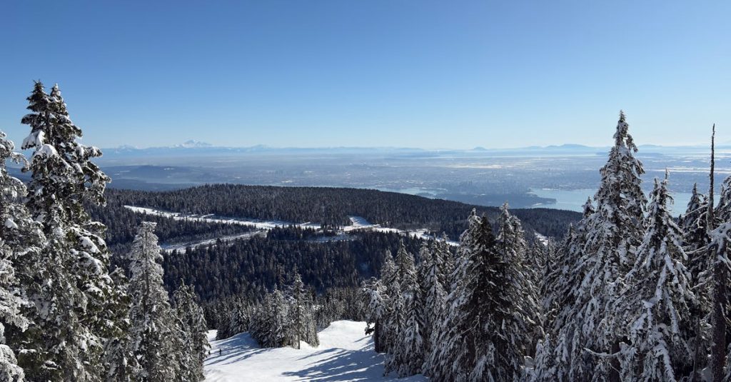 découvrez des aventures inoubliables en famille, entre exploration, rires et moments de partage. partez à la conquête de nouveaux horizons et créez des souvenirs mémorables ensemble.