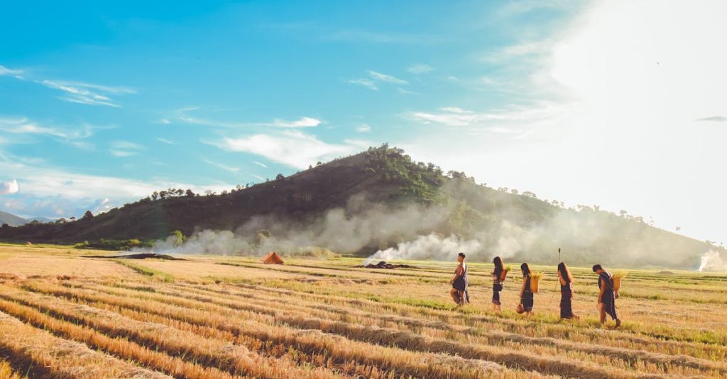 découvrez nos séjours à la ferme, une expérience unique pour vos vacances. profitez de la nature, participez aux activités agricoles et rencontrez les animaux. idéal pour les familles et les amoureux de la campagne.