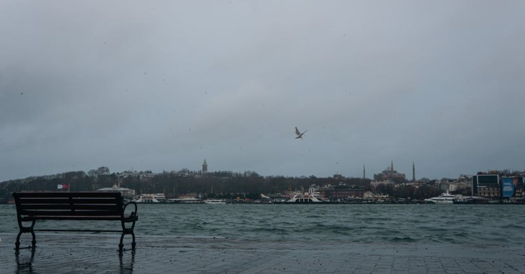découvrez le bird park, un oasis de biodiversité où vous pourrez observer et interagir avec une multitude d'espèces d'oiseaux exotiques dans un cadre naturel enchanteur. une expérience inoubliable pour toute la famille !