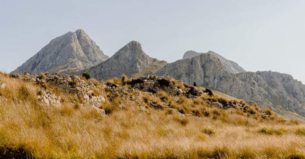 découvrez ibiza, l'île ensoleillée des baléares où la fête, la musique et la beauté naturelle se rencontrent. profitez de plages magnifiques, d'une vie nocturne animée et d'une culture riche qui en font une destination incontournable pour les voyageurs en quête d'aventure et de détente.