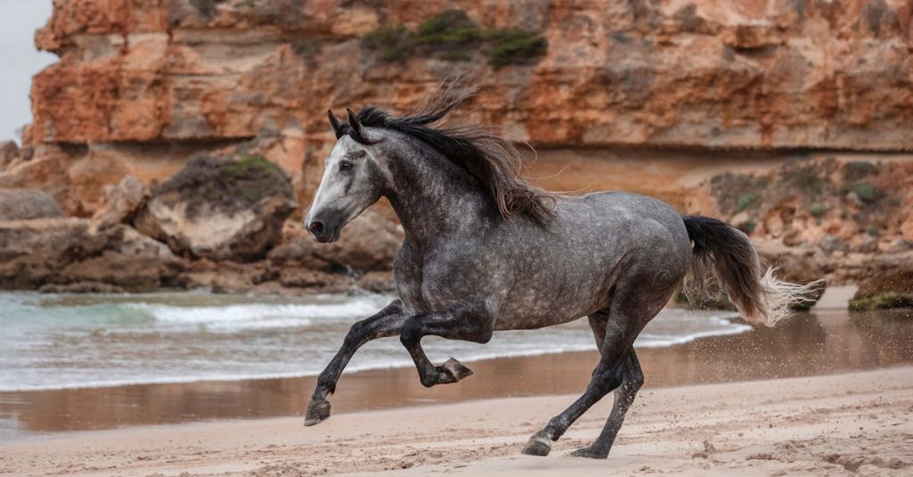 découvrez l'andalousie, une région enchanteresse du sud de l'espagne, riche en histoire, culture vibrante et paysages à couper le souffle. explorez ses palais mauresques, ses plages dorées et sa délicieuse gastronomie.