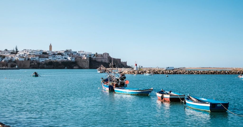 découvrez le rwanda, le pays des mille collines, avec ses paysages époustouflants, sa faune sauvage unique et sa culture riche. explorez les parcs nationaux emblématiques, assistez à la migration des gorilles et plongez dans l'hospitalité chaleureuse de ses habitants. préparez votre voyage au cœur de l'afrique et vivez une expérience inoubliable.