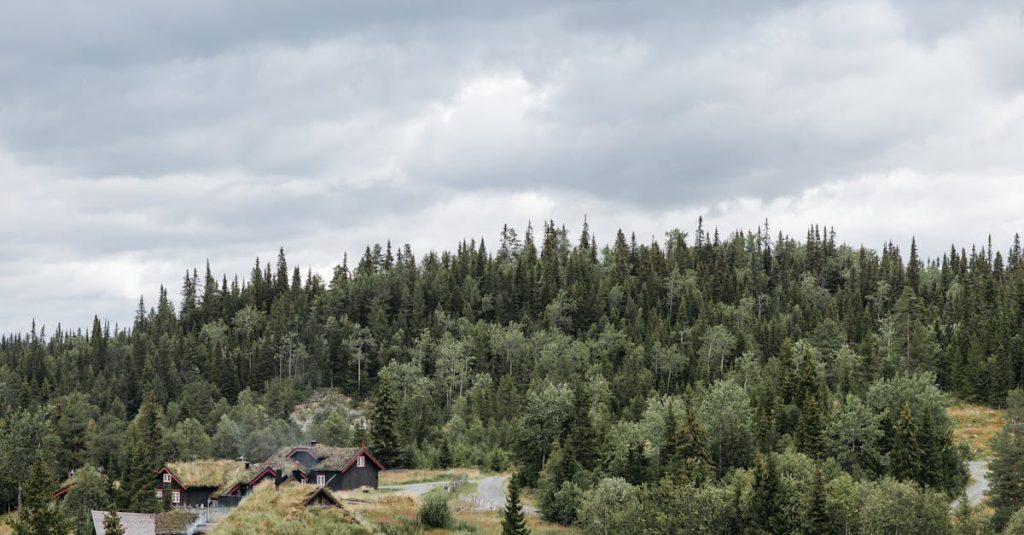 découvrez notre sélection de cabanes uniques, idéales pour une escapade en pleine nature. profitez du confort moderne tout en étant immergé dans un cadre enchanteur. que vous souhaitiez vous détendre ou partir à l'aventure, nos cabines vous offrent une expérience inoubliable.