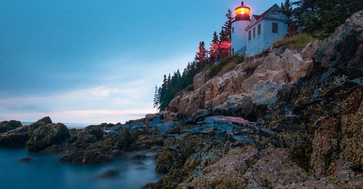 découvrez acadia, un monde où la nature sauvage et la beauté côtière se rencontrent. explorez des paysages à couper le souffle, une riche biodiversité et des activités de plein air passionnantes. parfait pour les amoureux de l'aventure et de la tranquillité.