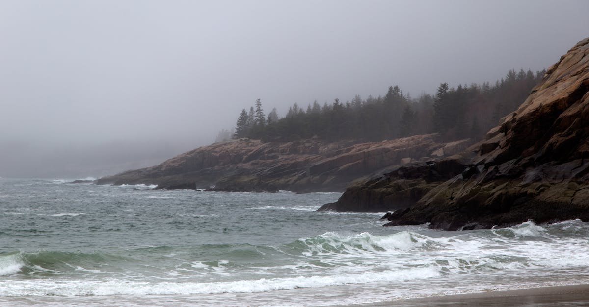 découvrez acadia, un lieu enchanteur qui allie nature et culture, offrant des paysages à couper le souffle, des activités en plein air et une riche histoire à explorer. plongez dans l'aventure et laissez-vous séduire par la beauté d'acadia.
