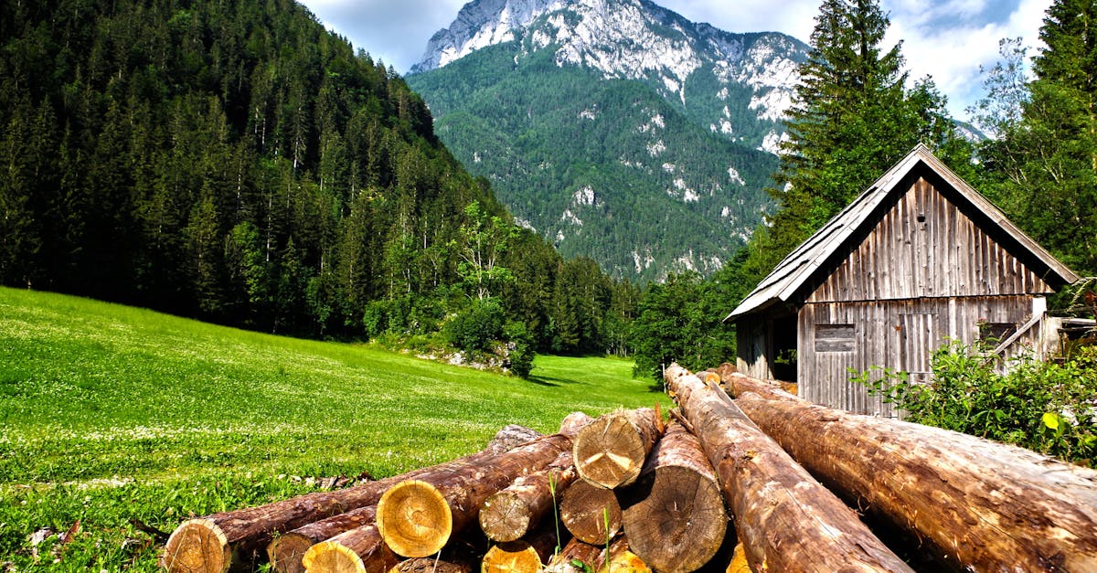 découvrez les majestueuses alpes, un paradis naturel où montagnes enneigées, lacs cristallins et charmants villages vous attendent. que vous soyez amateur de ski, de randonnée ou de gastronomie, les alpes offrent une expérience inoubliable pour tous les amoureux de la nature.