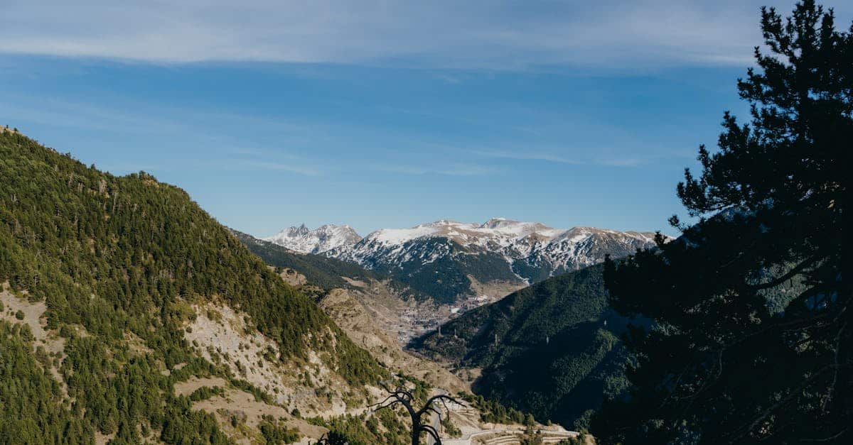 découvrez andorre, un petit pays des pyrénées offrant des paysages montagneux à couper le souffle, des stations de ski renommées et une riche culture. explorez ses charmants villages, profitez de ses activités de plein air et délectez-vous de sa gastronomie. parfait pour les amateurs de nature et de détente!