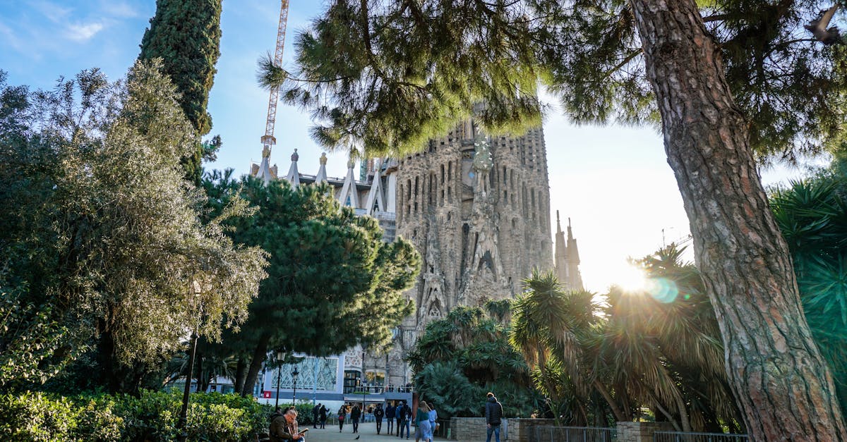 découvrez la magie de barcelone, une ville vibrante mêlant architecture spectaculaire, plages ensoleillées et une culture riche. explorez les chefs-d'œuvre de gaudí, savourez la délicieuse cuisine catalane et imprégnez-vous de l'ambiance festive des rues. barcelone vous attend pour une expérience inoubliable.