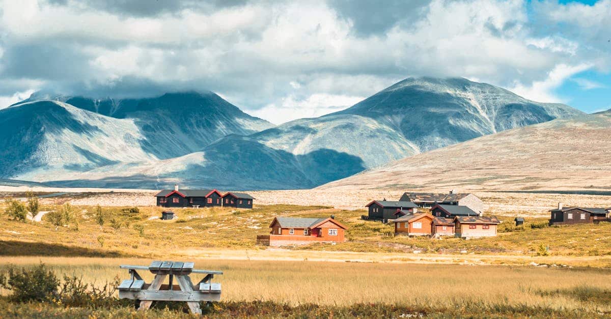 découvrez notre sélection de cabanes uniques, idéales pour une escapade en pleine nature. profitez du confort moderne tout en étant immergé dans un environnement apaisant et pittoresque. réservez votre cabine dès maintenant pour une expérience inoubliable.