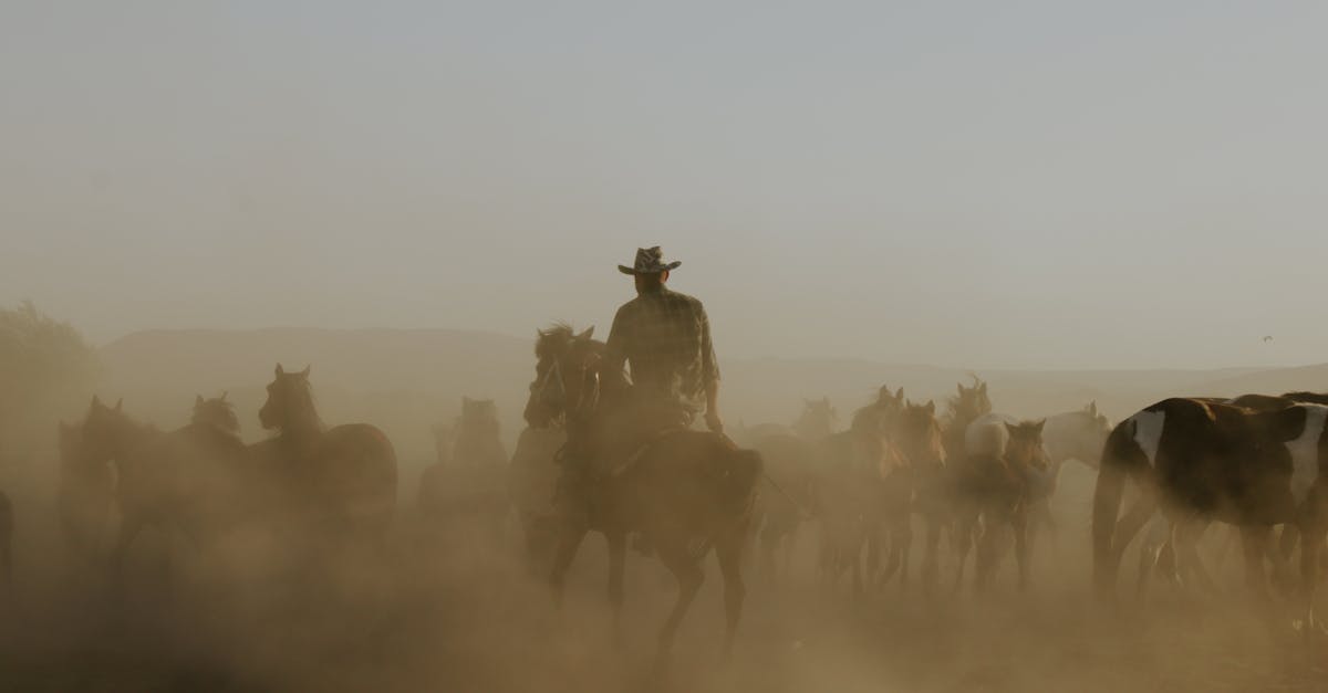 découvrez la beauté sauvage de la camargue, une région emblématique du sud de la france. entre plages de sable, marais, et traditions équestres, la camargue est un véritable havre de paix pour les amoureux de la nature et de la culture. explorez ses paysages uniques, sa faune exceptionnelle et plongez dans son riche patrimoine.
