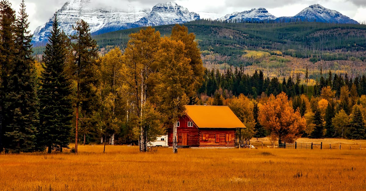 découvrez le colorado, un état américain aux paysages à couper le souffle, des montagnes rocheuses majestueuses aux vastes parcs nationaux. explorez la nature, la culture locale et les aventures en plein air qui font de cet endroit une destination incontournable.