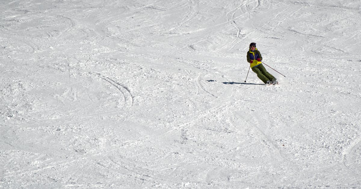 découvrez le ski de fond, une activité hivernale qui allie plaisir et endurance. explorez les vastes paysages enneigés tout en profitant des bienfaits d'un sport complet, idéal pour les amateurs de nature et d'aventure. que vous soyez débutant ou expert, le ski de fond vous offre des moments inoubliables sur les pistes.