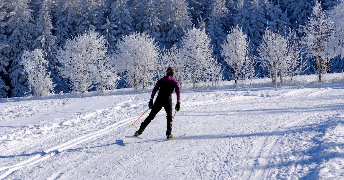 découvrez le ski de fond, une activité de plein air passionnante qui allie endurance et plaisir. explorez les belles pistes enneigées et améliorez votre condition physique tout en profitant de la nature.