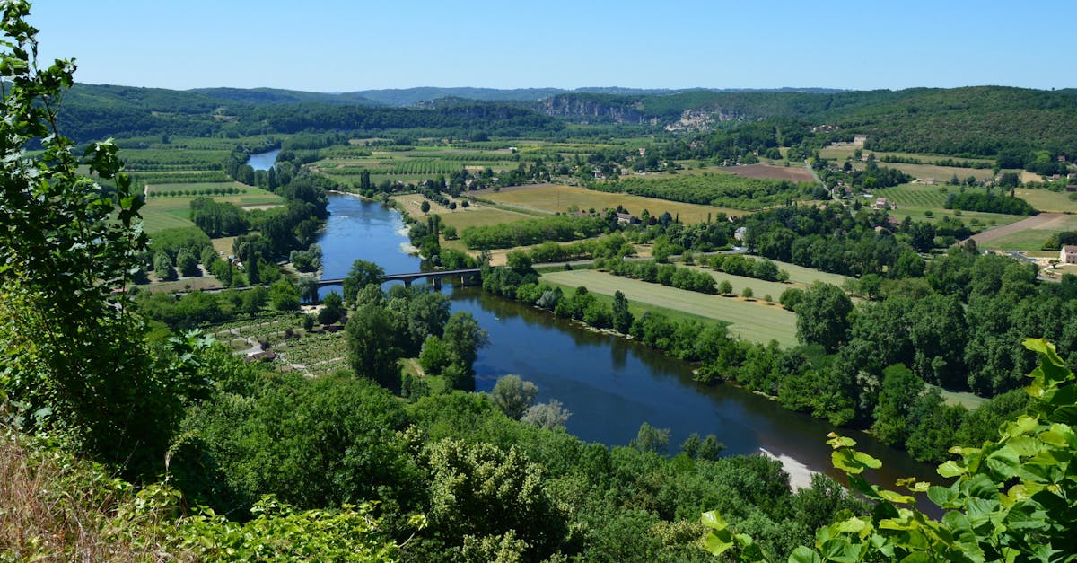 découvrez la dordogne, une région riche en histoire, paysages pittoresques et gastronomie savoureuse. explorez ses châteaux médiévaux, ses grottes préhistoriques et savourez la cuisine locale dans cette destination incontournable du sud-ouest de la france.