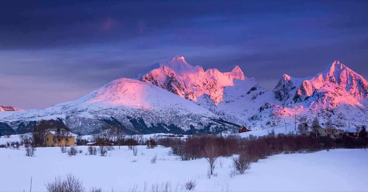 découvrez nos expériences uniques qui stimulent vos sens et éveillent vos émotions. que ce soit des aventures en plein air, des ateliers créatifs ou des escapades culturelles, plongez dans des moments inoubliables qui enrichiront votre vie.