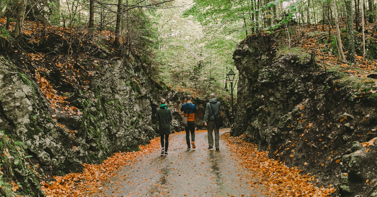 découvrez l'aventure inoubliable d'un road trip en famille. des paysages à couper le souffle, des moments de complicité et des souvenirs gravés à jamais : préparez-vous à explorer ensemble et à créer des souvenirs uniques sur la route!