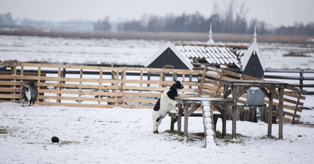 découvrez des vacances à la ferme inoubliables, où vous pourrez vous reconnecter à la nature, profiter d'activités agricoles et savourer des produits locaux. partez à l'aventure dans des paysages pittoresques et vivez une expérience authentique en famille ou entre amis.