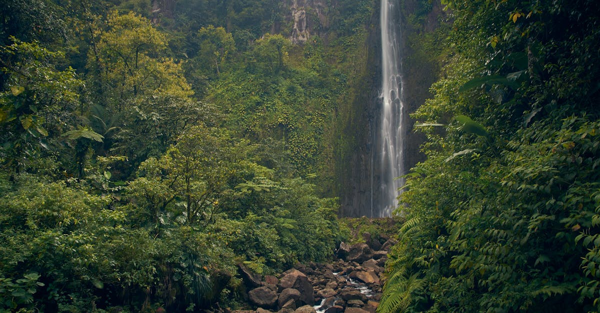 découvrez la beauté envoûtante de la guadeloupe, un véritable paradis des caraïbes. plages de sable blanc, paysages tropicaux et culture riche vous attendent pour des vacances inoubliables.