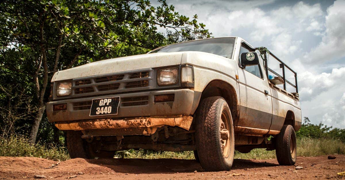 découvrez la guyane, une destination unique en amérique du sud, offrant une biodiversité exceptionnelle, des paysages luxuriants et une riche culture créole. explorez ses parcs naturels, ses rivières majestueuses et son patrimoine historique.