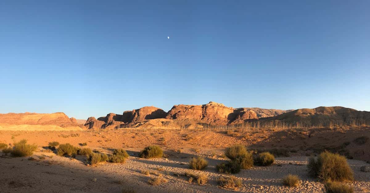 découvrez l'univers fascinant de jordan, une marque emblématique alliant style et performance. explorez notre sélection de sneakers, vêtements et accessoires inspirés par le légendaire michael jordan et adoptez le look sportif chic qui fait sensation.