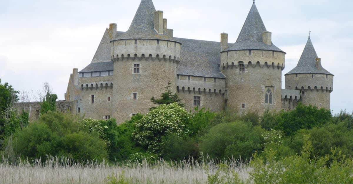 découvrez le morbihan, un département breton riche en paysages côtiers, en patrimoine historique et en activités de plein air. explorez ses magnifiques îles, ses plages préservées et plongez dans la culture bretonne authentique.