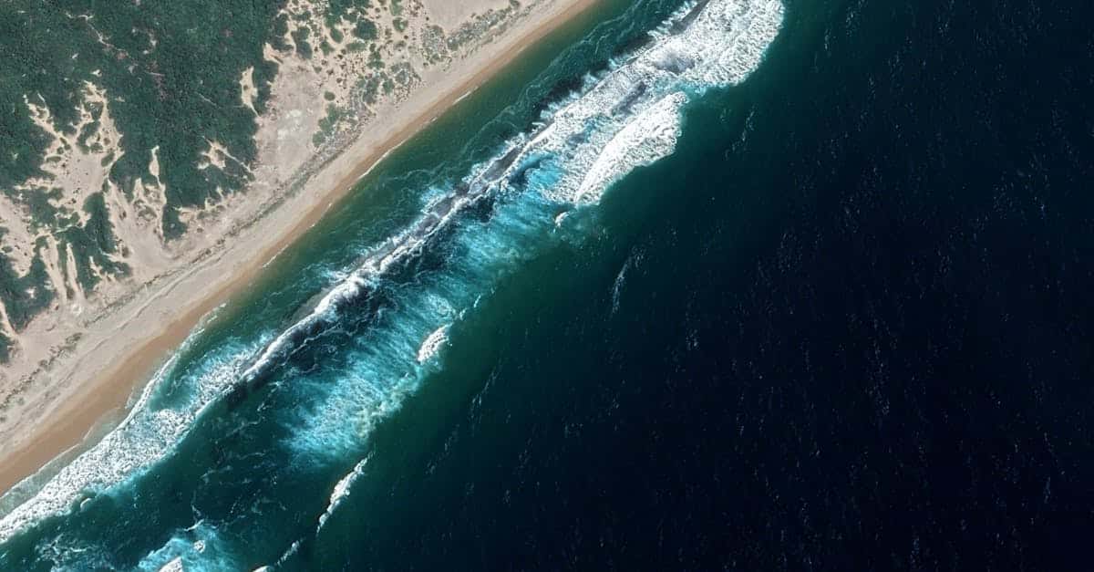 découvrez le mozambique, une destination captivante en afrique avec ses plages paradisiaques, sa riche biodiversité et sa culture vibrante. explorez les merveilles de la nature, plongez dans l'histoire fascinante du pays et vivez des aventures inoubliables grâce à ses paysages à couper le souffle.