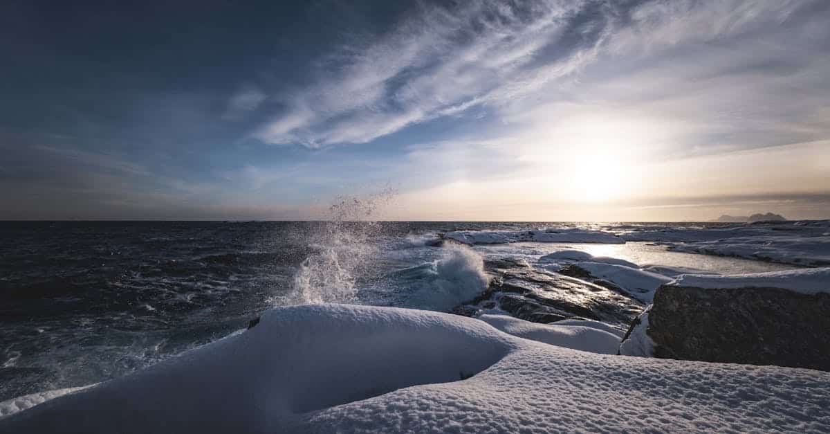 découvrez des aventures inoubliables au cœur des paysages nordiques. explorez les fjords majestueux, les forêts enneigées et vivez des expériences uniques en plein air. que vous souhaitiez faire de la randonnée, du ski ou observer les aurores boréales, nordic adventures vous promet des souvenirs mémorables.