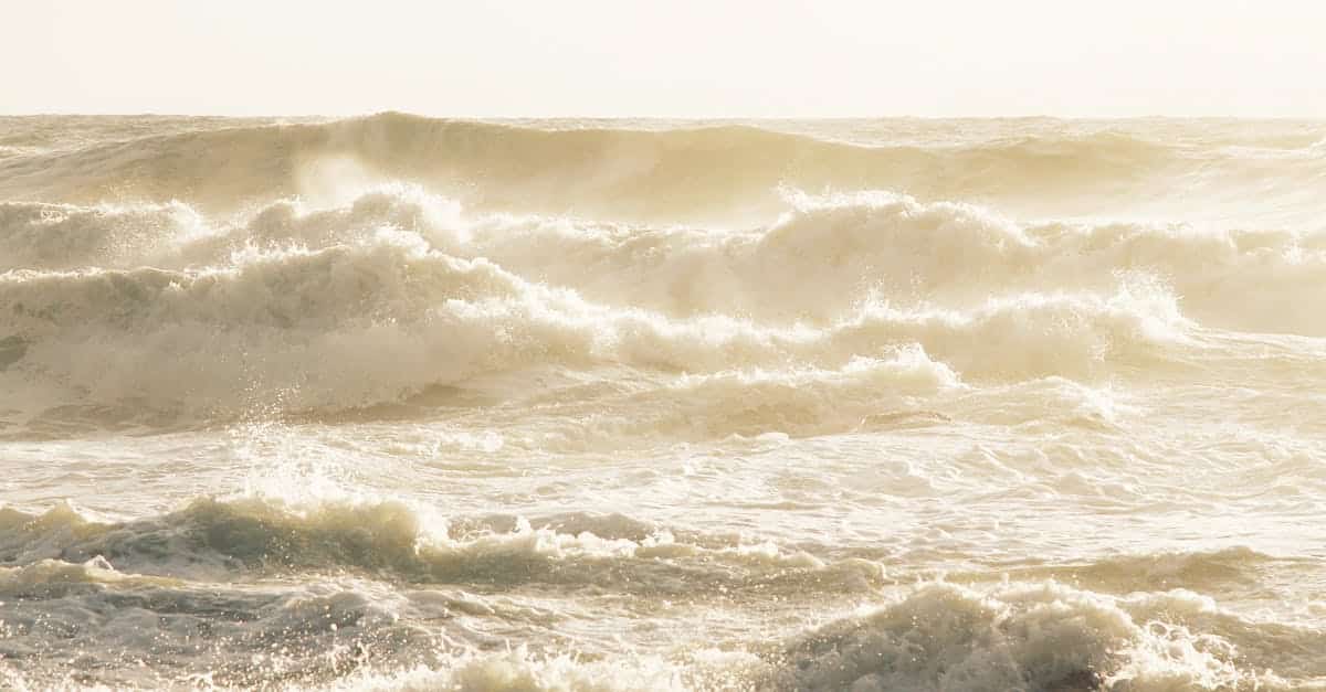 découvrez porto, la charmante ville portugaise au bord du douro, célèbre pour ses vins, son architecture époustouflante et ses ruelles historiques. explorez ses ponts emblématiques, ses caves à vin et savourez la gastronomie locale tout en vous imprégnant de l'atmosphère unique de cette destination incontournable.