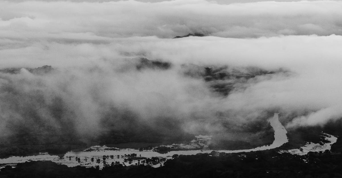 découvrez la vallée de roya, un trésor caché des alpes-maritimes, alliant paysages époustouflants et richesses culturelles. explorez ses charmants villages, ses sentiers de randonnée et laissez-vous séduire par la beauté authentique de cette région préservée.