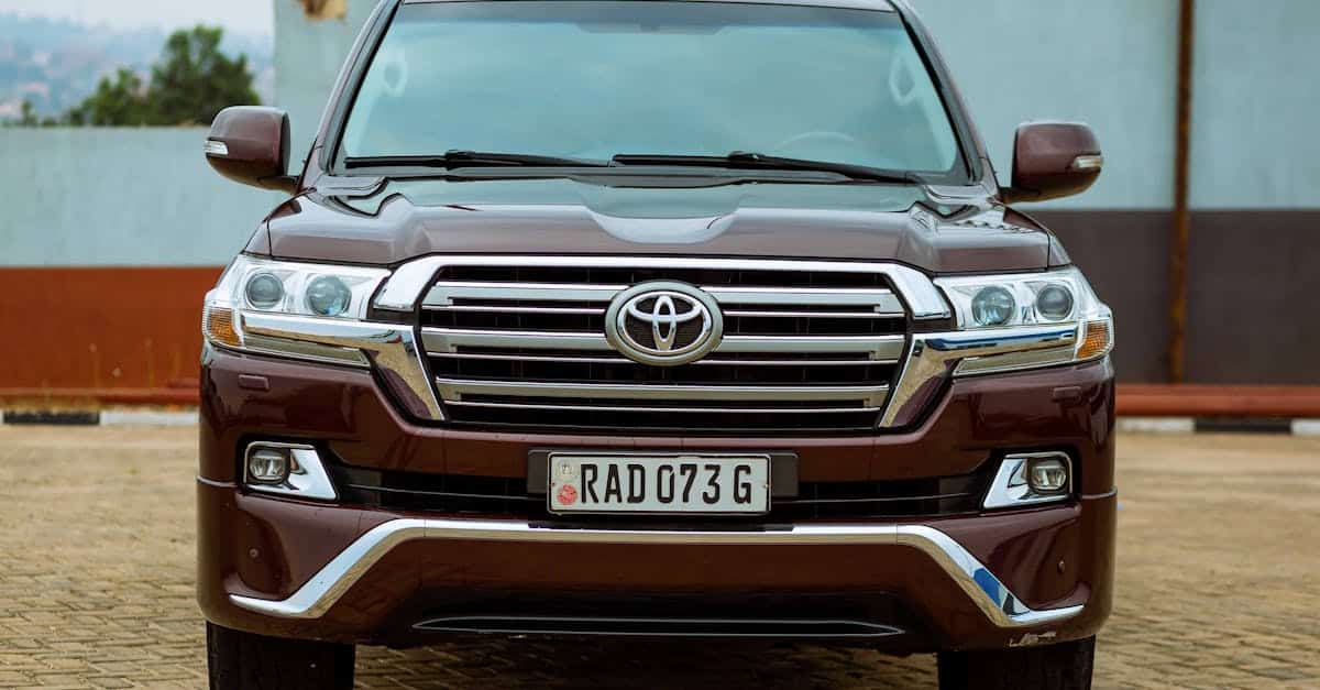 découvrez le rwanda, la terre des mille collines, avec ses paysages à couper le souffle, sa faune sauvage et sa richesse culturelle. explorez les parcs nationaux, rencontrez les gorilles majestueux et plongez dans l'hospitalité chaleureuse des rwandais. planifiez votre voyage inoubliable au cœur de l'afrique.