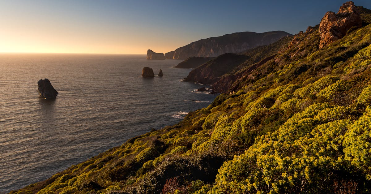 découvrez la beauté envoûtante de la sardaigne, une île méditerranéenne réputée pour ses plages de sable blanc, ses paysages montagneux spectaculaires et sa riche culture. explorez ses charmants villages, savourez une cuisine délicieuse et imprégnez-vous de l'histoire fascinante de cette destination incontournable.