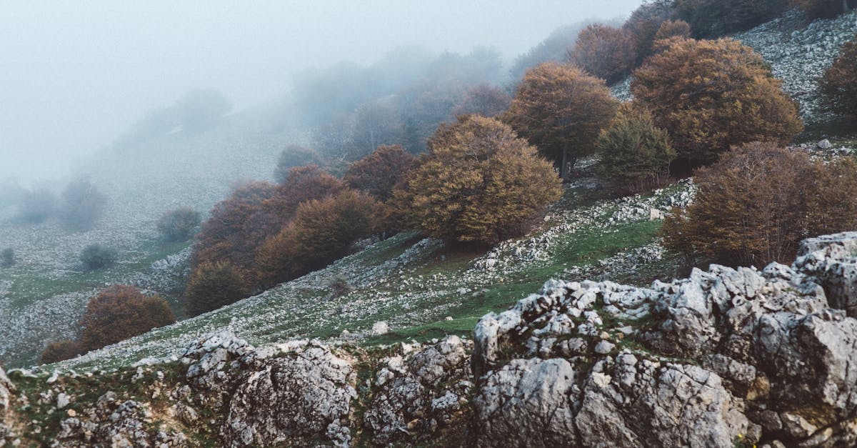 découvrez la beauté envoûtante de la sicile, une île méditerranéenne riche en culture, histoire et paysages époustouflants. explorez ses plages dorées, ses sites archéologiques fascinants et sa délicieuse cuisine locale. une aventure inoubliable vous attend en sicile !