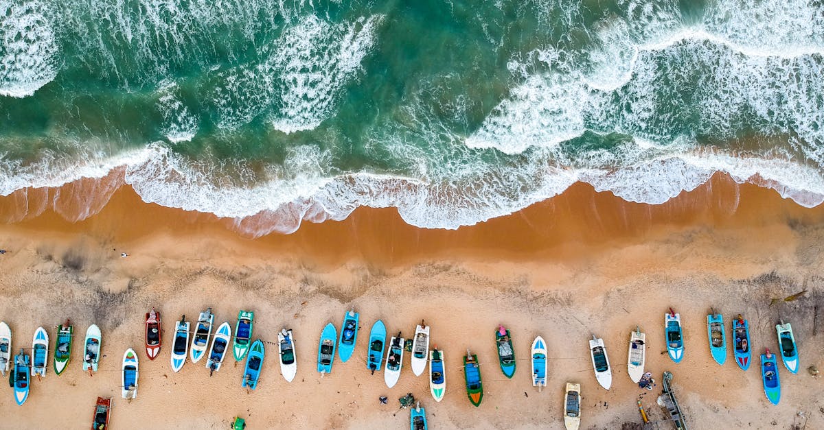 découvrez le sri lanka, une île enchanteuse de l'océan indien, célèbre pour ses plages magnifiques, sa riche culture, ses temples historiques et sa nature luxuriante. explorez des paysages variés, goûtez à une cuisine savoureuse et plongez dans l'hospitalité chaleureuse des habitants.