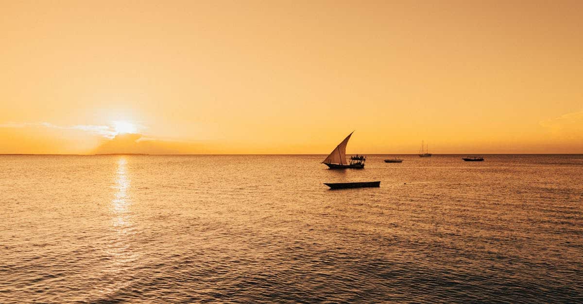 découvrez la tanzanie, un véritable paradis africain riche en paysages diversifiés, de la savane majestueuse du serengeti aux plages idylliques de zanzibar. plongez dans la culture vibrante des différentes tribus et admirez la faune exceptionnelle de ce pays aux mille merveilles.