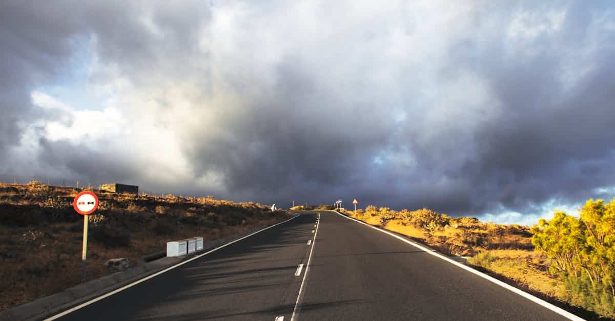 découvrez tenerife, une île enchanteresse des canaries, célèbre pour ses paysages volcaniques époustouflants, ses plages de sable doré et son climat ensoleillé toute l'année. explorez ses parcs nationaux, savourez la cuisine locale et profitez d'activités variées pour tous les âges.