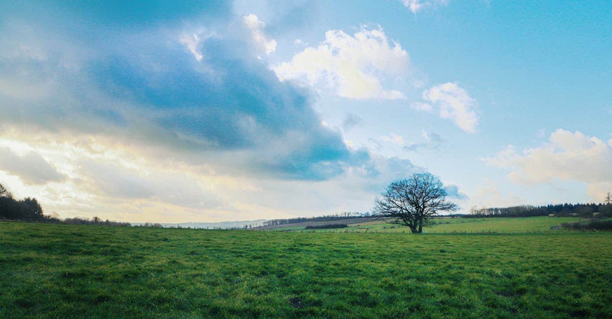 découvrez la wallonie, une région riche en patrimoine culturel, en paysages pittoresques et en activités passionnantes. explorez ses charmantes villes, savourez sa délicieuse gastronomie et plongez dans son histoire captivante.