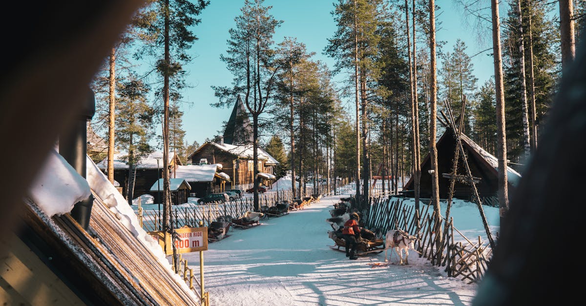 découvrez des activités hivernales passionnantes pour toute la famille, allant de la randonnée en raquettes aux sports de neige. profitez de l'hiver avec des idées amusantes et des événements chaleureux pour rendre cette saison inoubliable.