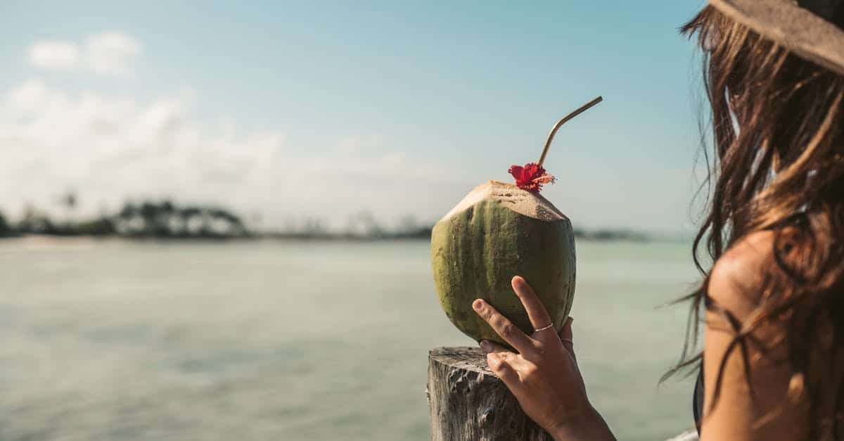 découvrez zanzibar, l'île paradisiaque au large de la tanzanie, célèbre pour ses plages de sable blanc, ses eaux turquoise et sa culture riche. plongez dans l'histoire de stone town, dégustez des épices locales et explorez les paysages époustouflants de cet archipel unique.