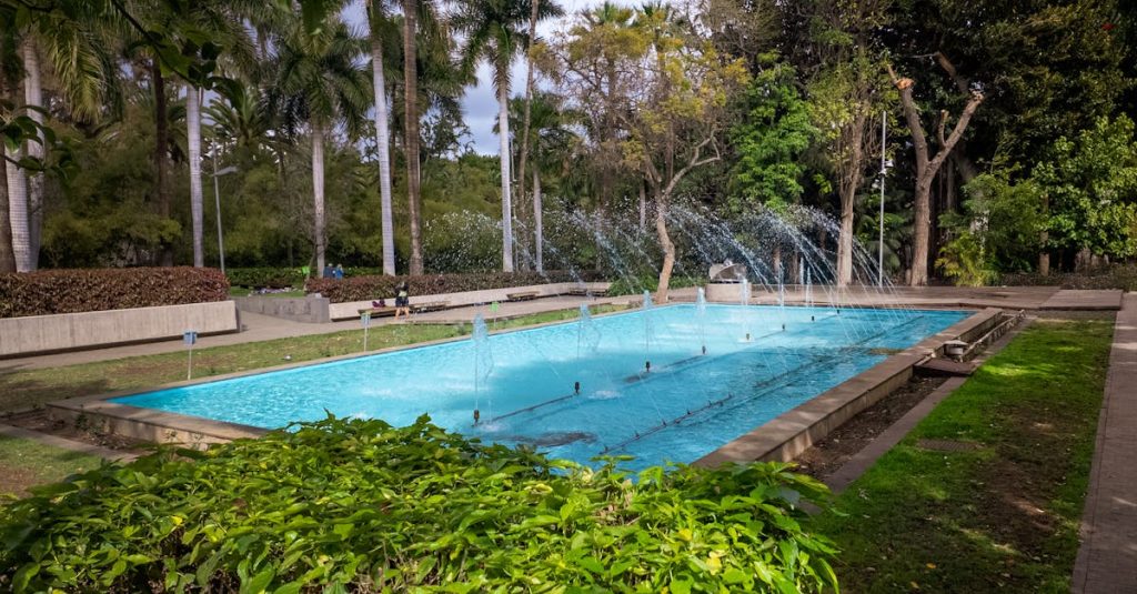découvrez les îles canaries, un archipel envoûtant situé au large des côtes africaines. profitez de ses plages ensoleillées, de ses paysages volcaniques spectaculaires et de sa culture riche, entre tradition et modernité. les îles canaries, une destination idéale pour les amoureux de la nature et les passionnés d'aventures.