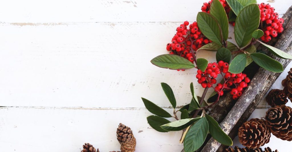 découvrez l'esprit de noël avec des idées de décoration, des recettes délicieuses et des traditions uniques pour célébrer cette fête magique en famille et entre amis.