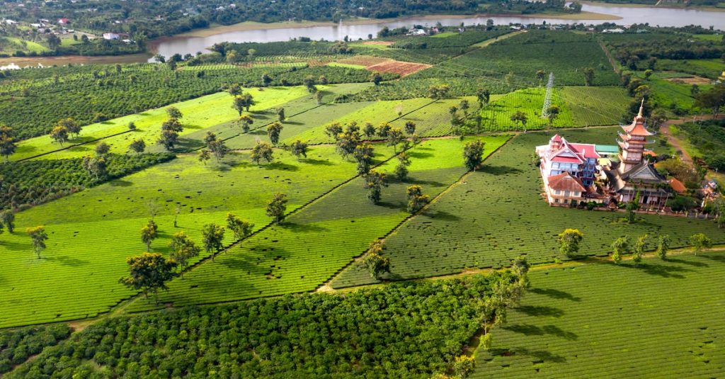 découvrez les plantations de thé, ces paysages enchanteurs où la nature et la culture se rencontrent. plongez dans l'univers fascinant de la culture du thé, des méthodes de récolte traditionnelles aux variétés de thé uniques. explorez l'impact de ces plantations sur les communautés locales et l'environnement.
