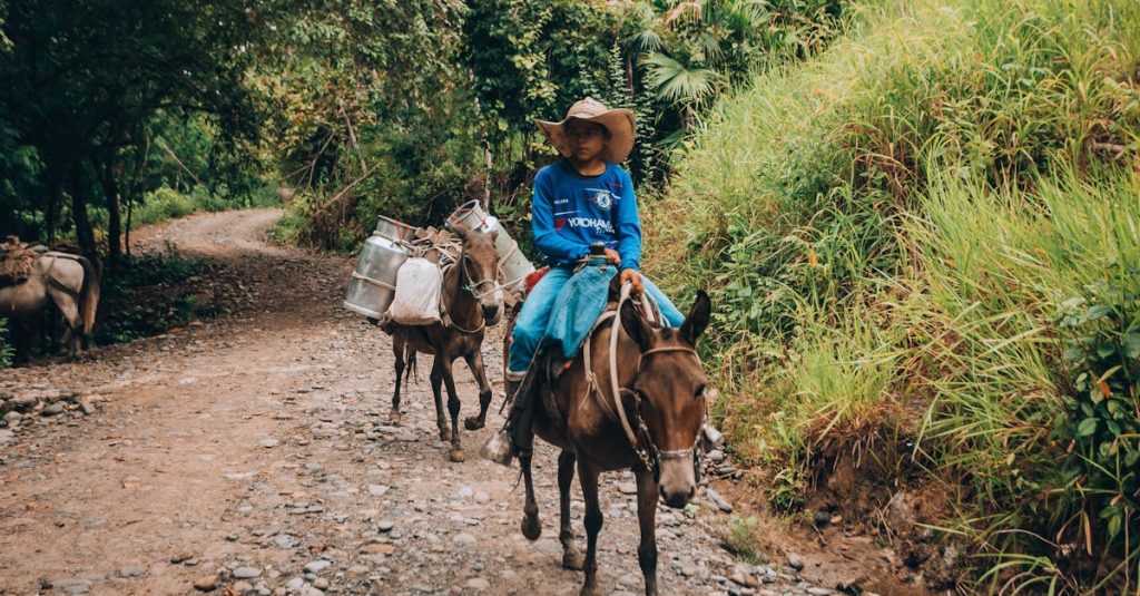 découvrez des récits de voyage captivants qui vous transportent à travers le monde. plongez dans des expériences uniques et enrichissantes, explorez des cultures variées et laissez-vous inspirer par des histoires de découvertes et d'aventures mémorables.