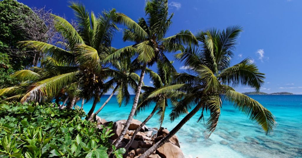 découvrez les seychelles, un paradis tropical connu pour ses plages de sable blanc, ses eaux turquoise et sa biodiversité unique. évadez-vous dans ce chef-d'œuvre naturel, idéal pour le snorkeling, la randonnée et le farniente.