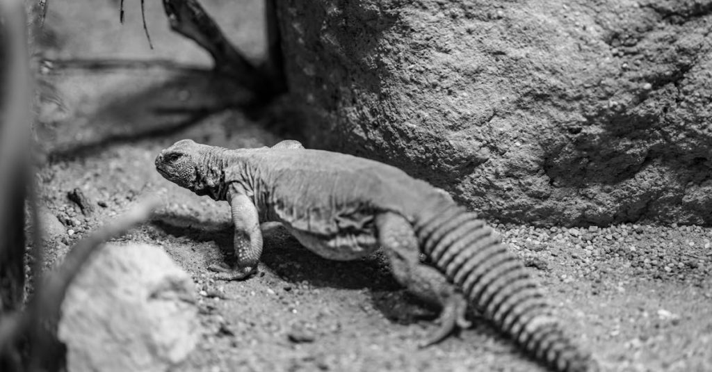 explorez la beauté envoûtante de la croatie, un pays aux paysages variés, plages pittoresques, et riche patrimoine culturel. découvrez ses villes historiques comme dubrovnik et split, ses parcs nationaux époustouflants, et savourez sa délicieuse cuisine méditerranéenne.