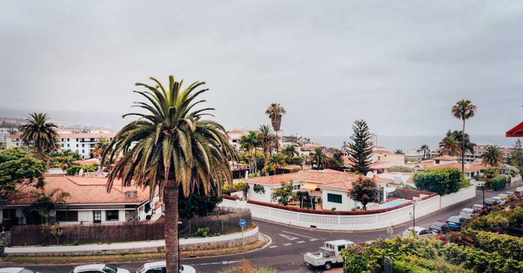 découvrez les canaries, un archipel de l'océan atlantique célèbre pour ses paysages volcaniques, ses plages de sable doré et son climat agréable toute l'année. parfaites pour des vacances ensoleillées, aventure en plein air ou détente, les îles offrent une riche culture et une gastronomie délicieuse. explorez les trésors naturels et profitez d'activités variées dans ce paradis insulaire.